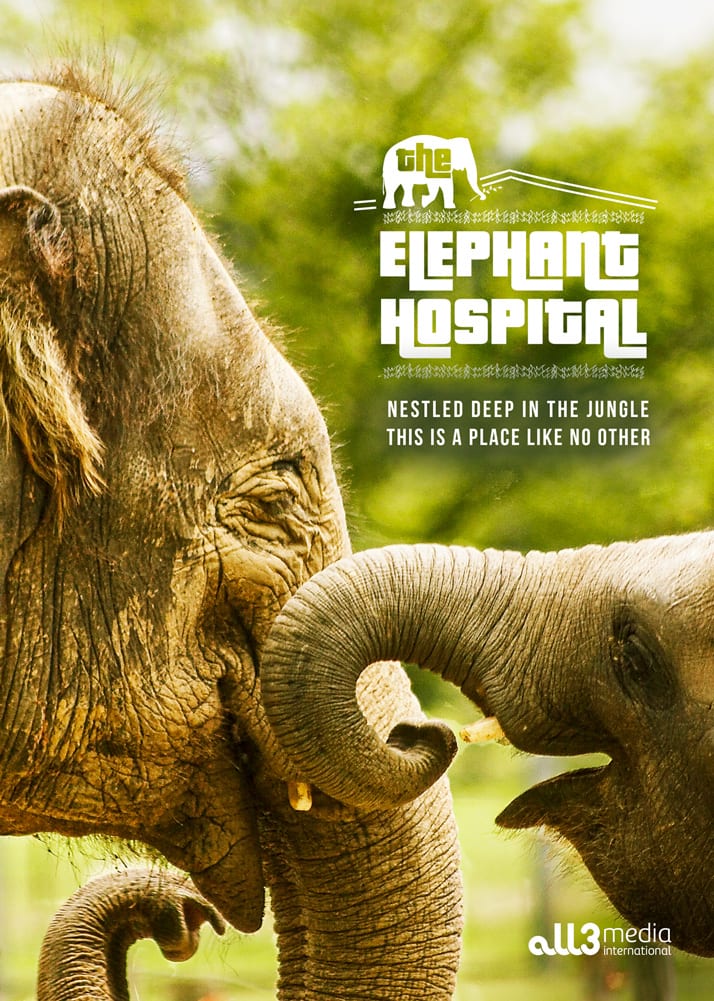 The Elephant Hospital